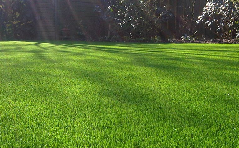 HTB1qwo2JVmWBuNjSspdq6zugXXaxiel pour jardin extérieur arrière-cour toile de fond paysage piscine mariage décoratif animaux chiens natural landscape artificial grass for garden outdoor backyard backdrop landscape swimming pool wedding decorative pets dogs