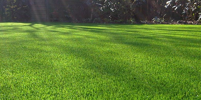 natural landscape artificial grass for garden outdoor backyard backdrop landscape swimming pool wedding decorative pets dogs