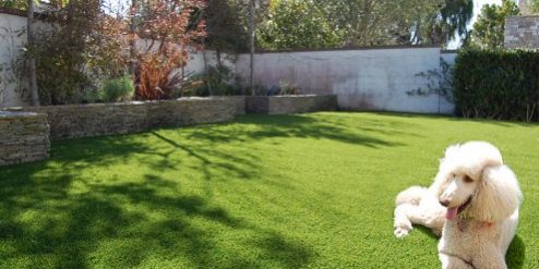 Tapis de gazon artificiel pour chien, pot lavable