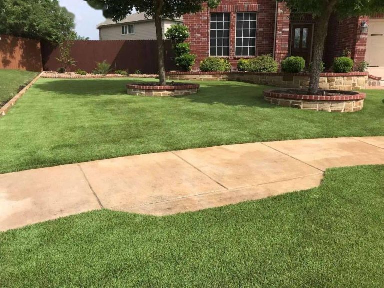 Turf Grass Solution