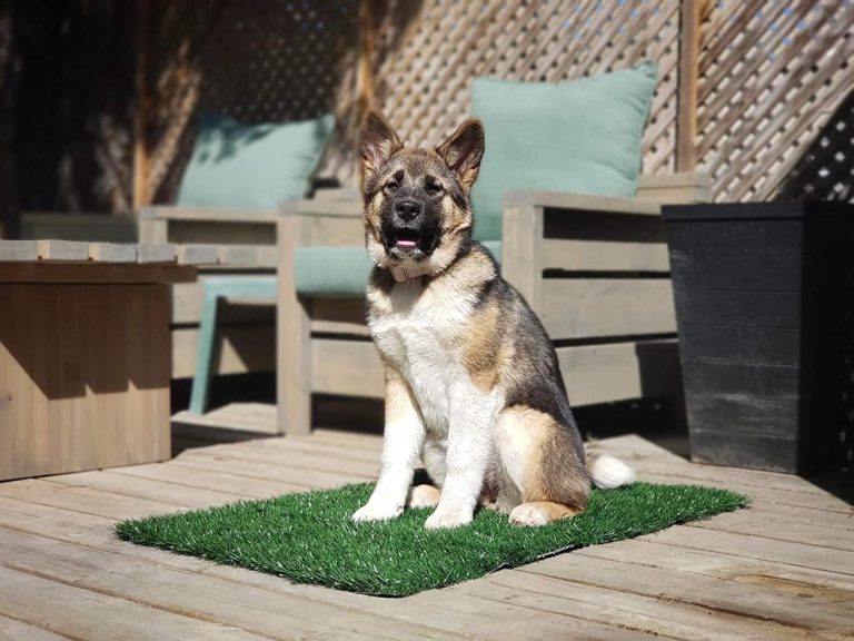 Pet Toilet Pad Artificial pet friendly artificial grass,Dog Turf & Artificial Grass for Pets