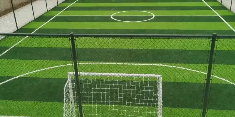 Sports Field Turf
